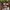 Rayban wayfarer justin series photo 2