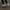 Converse 70s cheakerboard photo 5