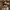 Rayban mega wayfarer photo 1