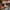 Rayban round metal classic photo 1