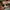 Rayban Round Metal Classic