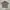 Polo Shirt Salur Art Avant Garde