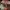 Rayban round metal  photo 1