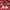 Manchester United 2020-2021 Prematch Football Jersey photo 2