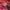 Manchester United 2020-2021 Prematch Football Jersey photo 3