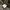 Element Skater Bomber jacket Pria white black photo 4