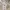 Cargo zara jeans baggy jeans cargo zara photo 2