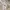 Cargo Zara Jeans Baggy Jeans Cargo Zara