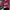 Jerzees Vintage Streetwear Sweatshirt Pria Multicolor
