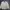 Wolsey Vintage Y2K Harrington jacket Pria white cream photo 1