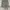 Nike Y2K Short Pria gray photo 1