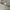 Nike Y2K Short Pria gray photo 4