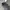 Nike Y2K Short Pria gray photo 6