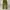 Japanese brand Y2K Other Pria green photo 5