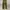 Japanese brand Y2K Other Pria green photo 1