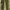 Japanese brand Y2K Other Pria green photo 4
