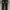 The North Face Dyno Series Outdoor Hiking Pants photo 1