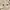 Crocodile Vintage Casual Formal pants Pria white photo 5