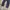 Dickies 830 Slim Taper Dark Nav photo 4