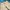 C.P. Company Vintage Casual Short Pria white photo 6