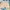 C.P. Company Vintage Casual Short Pria White