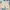 C.P. Company Vintage Casual Short Pria white photo 1