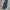 Dickies Tartan 874 Navy photo 1