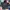 Converse Vintage Casual Bomber jacket Pria blue photo 2