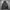 Carhartt WIP Nimbus Pullover - Green Camo Tree photo 5