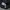Tracktop adidas firebird bw photo 4