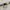 Dickies Chino Pant Buckle Back photo 8
