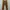 Dickies Chino Pant Buckle Back photo 1