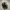 Salomon Xt6 S-Lab Black Grey photo 2