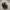 Salomon Xt6 S-Lab Black Grey