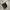Nike Tn photo 1
