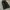 Baggy cargo celan cargo celana skena photo 2