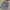 Baggy cargo celana cargo skena cargo import photo 1