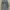 Baggy cargo celana cargo skena cargo import photo 2