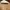 ZARA Casual Casual dress Wanita tan photo 4