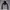 Nike Tech Fleece Black x Grey photo 1