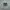 NIKE MD RUNNER 2 BLACK SECOND 42  photo 3