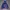 Hoodie MLB Yankees Worldseries photo 1