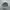 ADIDAS YEEZY BOOST 700 UTILITY BLACK SECOND 42  photo 2