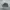 ADIDAS YEEZY BOOST 700 UTILITY BLACK SECOND 42 