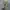 ADIDAS YEEZY BOOST 700 UTILITY BLACK SECOND 42  photo 4