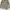 Livehaf Trucker Canvas Jacket (Milo) photo 1