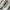 SALOMON SIZE 40 photo 6
