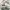 SALOMON SIZE 40 photo 7