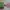 Cosplay Prom dress Wanita purple green photo 5