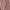 celana pink chapter9 photo 1
